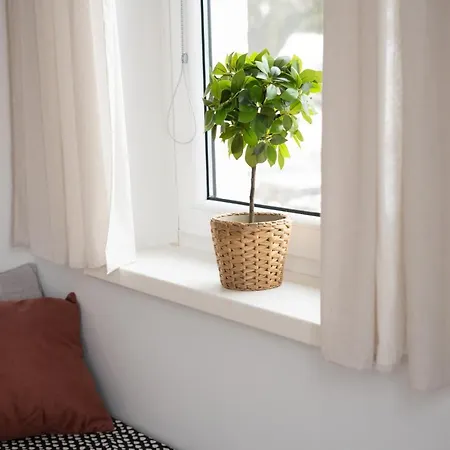 Hygge House